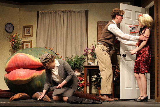 Little Shop 4