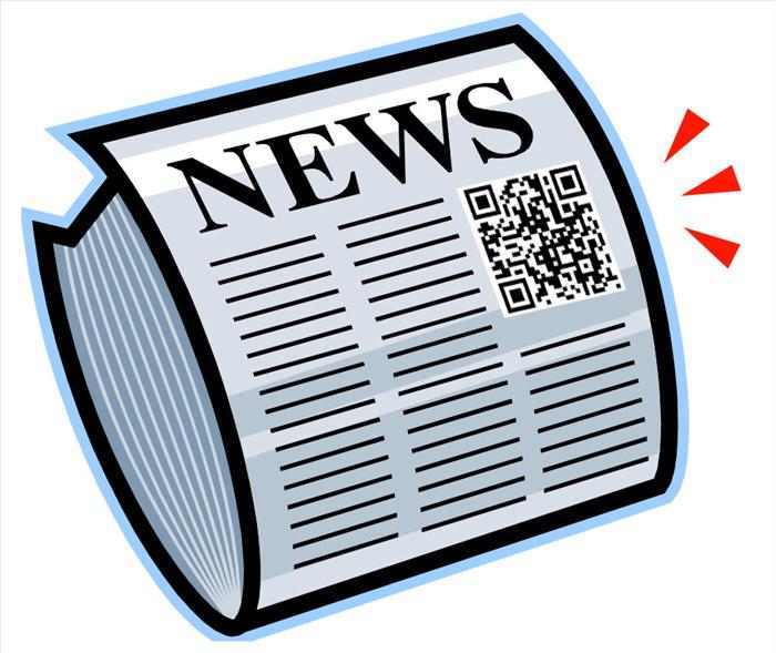Newspaper